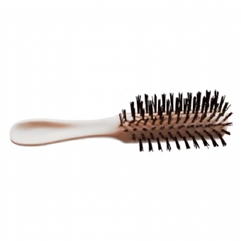 Adult Hairbrush in Bag